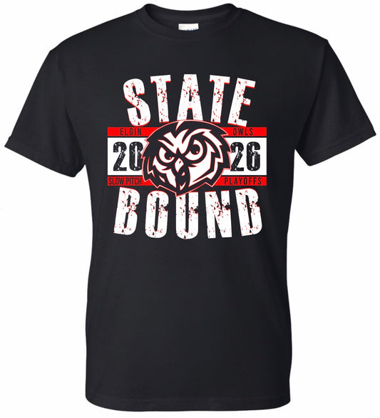 Elgin Lady Owls Slow Pitch State Tournament Shirts
